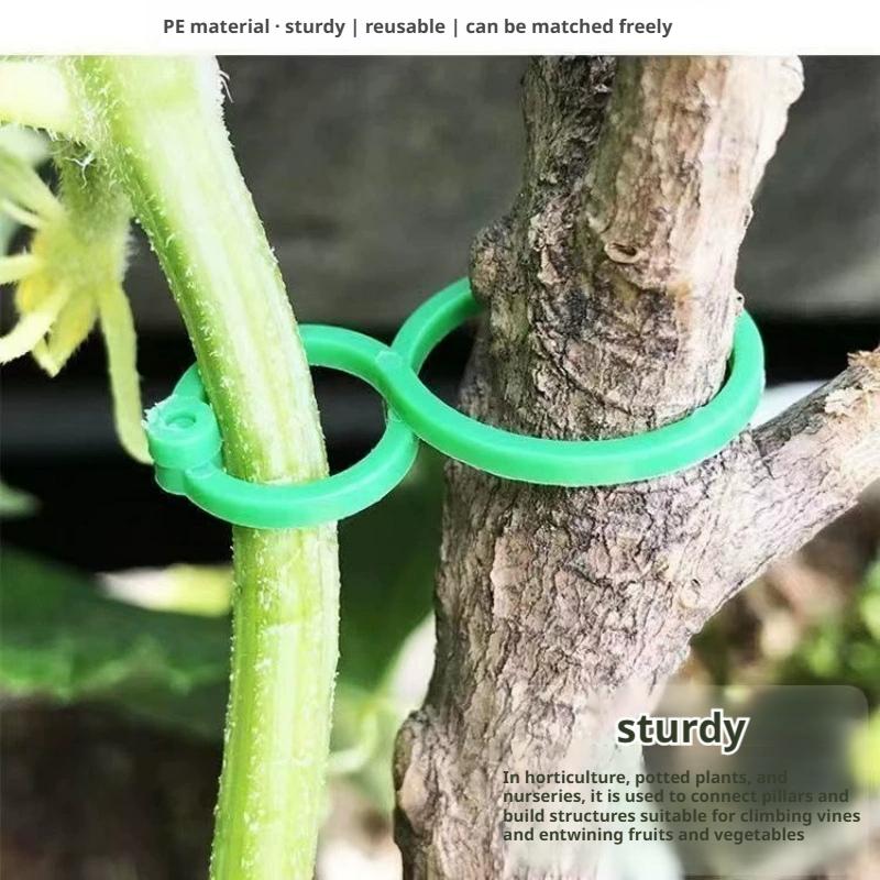 100 Pcs Plant Support Clips He - Vine Climbing Plastic recension och pris
