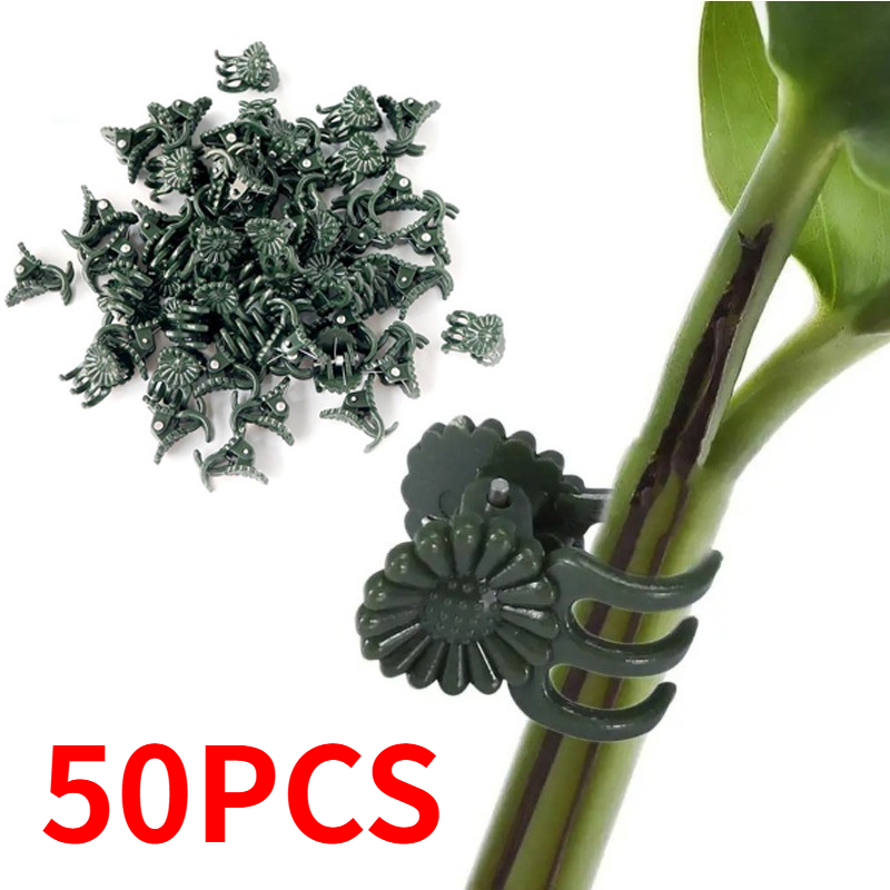 50PCS 5-Claw Dark Green Plant  - Vine Climbing Plastic recension och pris