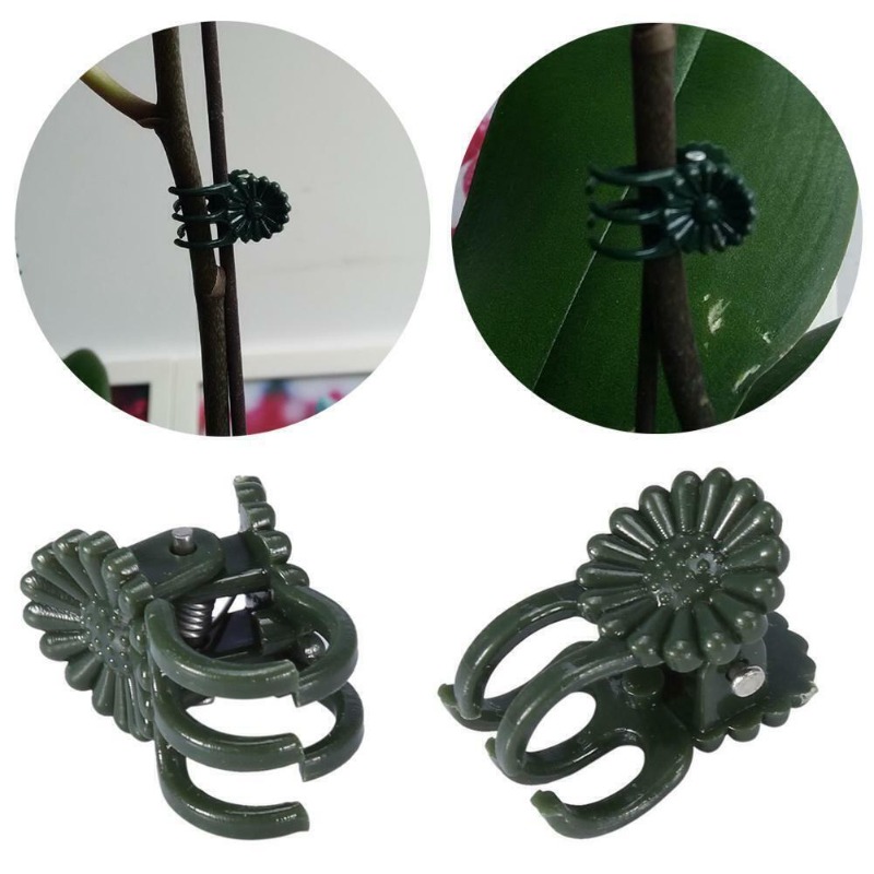 50PCS 5-Claw Dark Green Plant  - Vine Climbing Plastic recension och pris