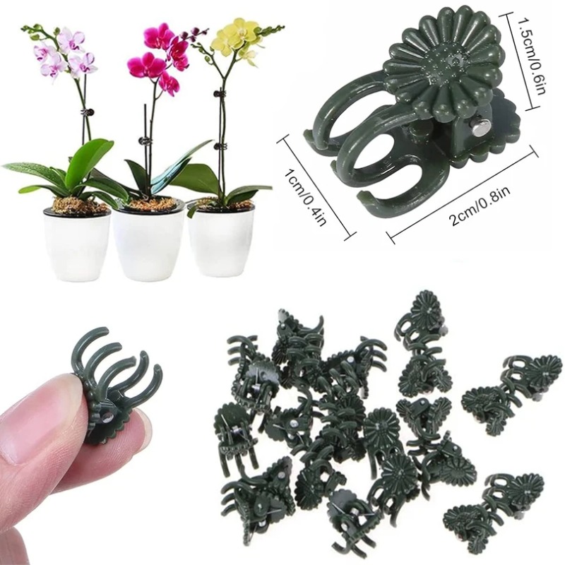 50PCS 5-Claw Dark Green Plant  - Vine Climbing Plastic recension och pris