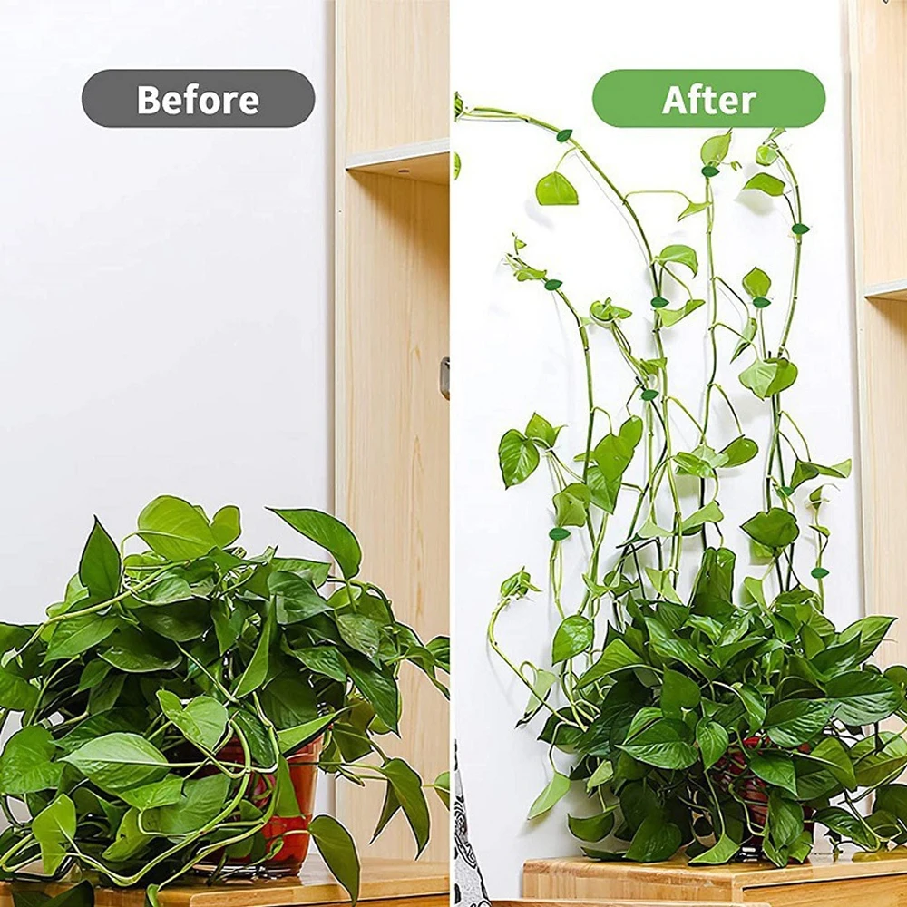 10/30/50Pcs Plant Climbing Wal - Vine Climbing Plastic recension och pris